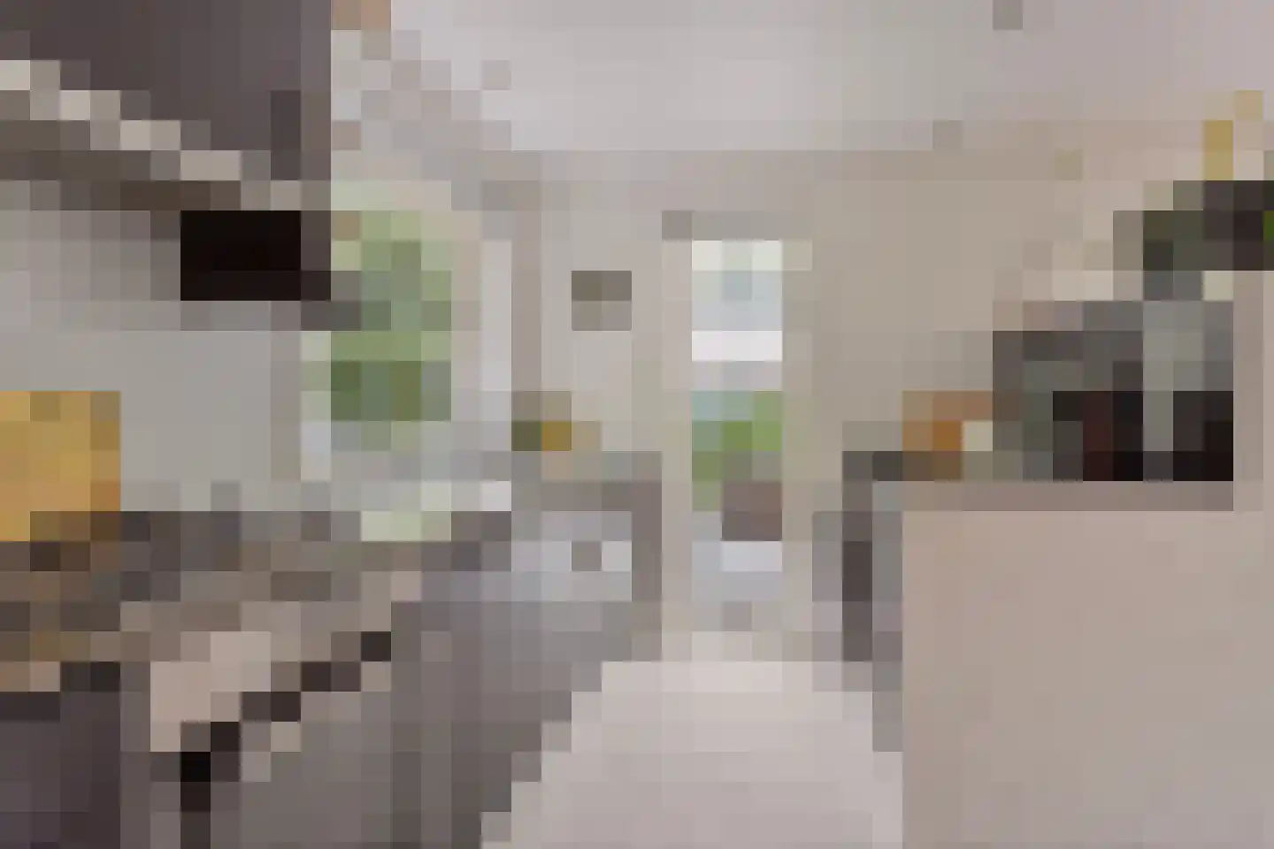 Jonkerstee 21 Ouddorp thumbnail 14