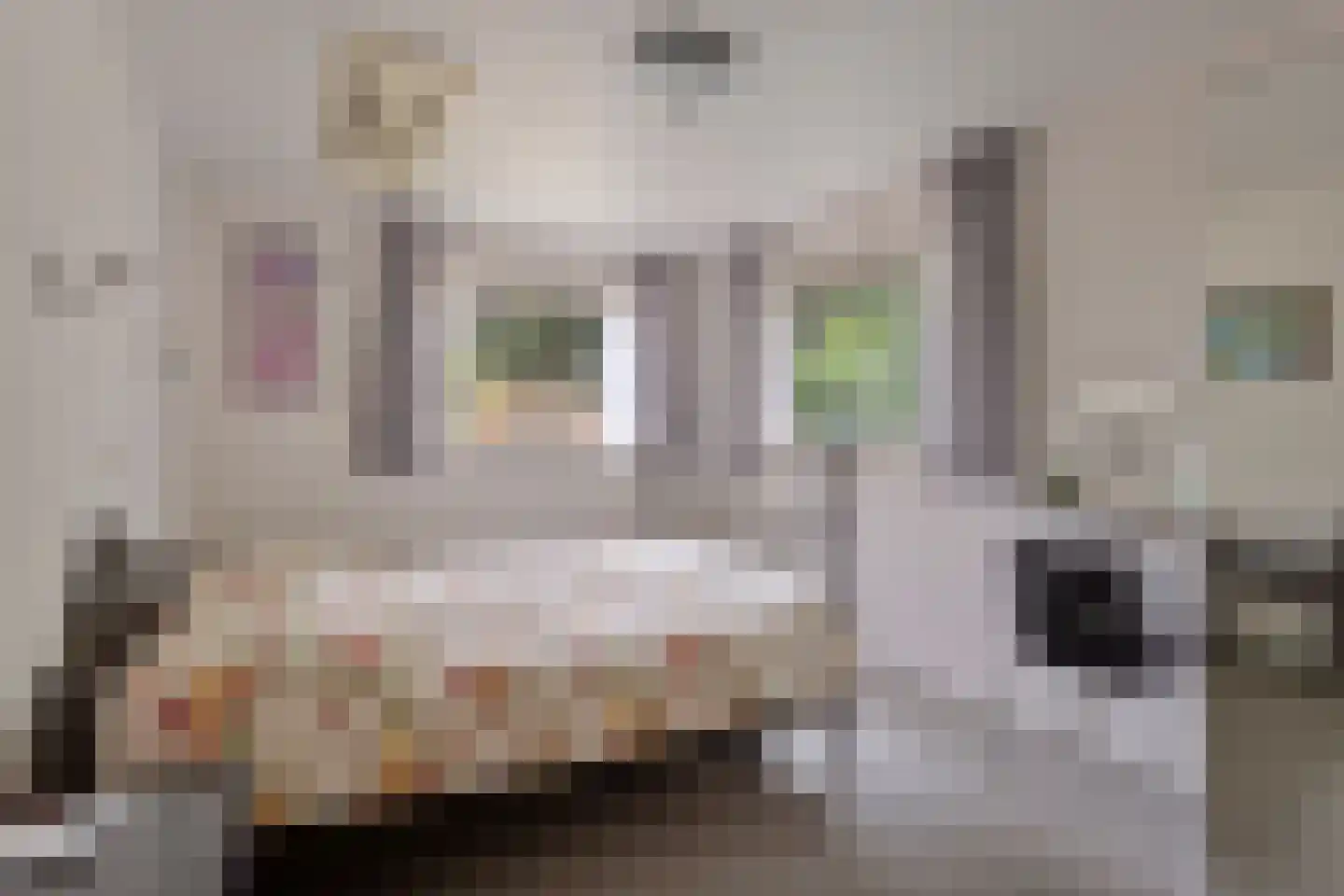 Jonkerstee 21 Ouddorp thumbnail 20
