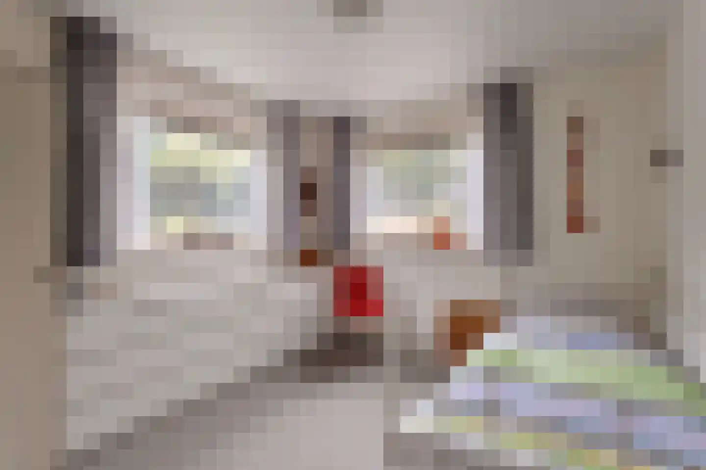 Jonkerstee 21 Ouddorp thumbnail 23