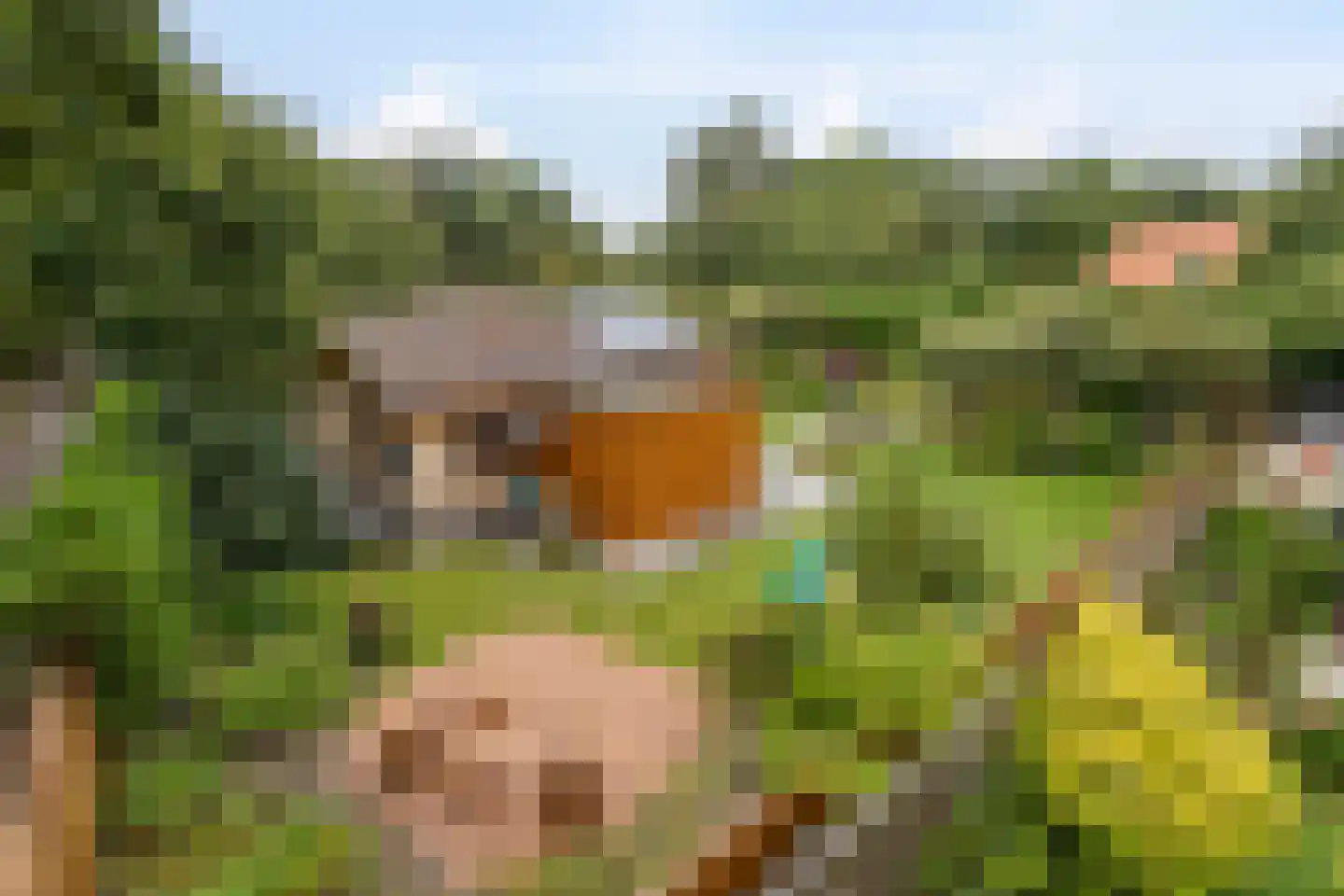 Jonkerstee 21 Ouddorp thumbnail 24
