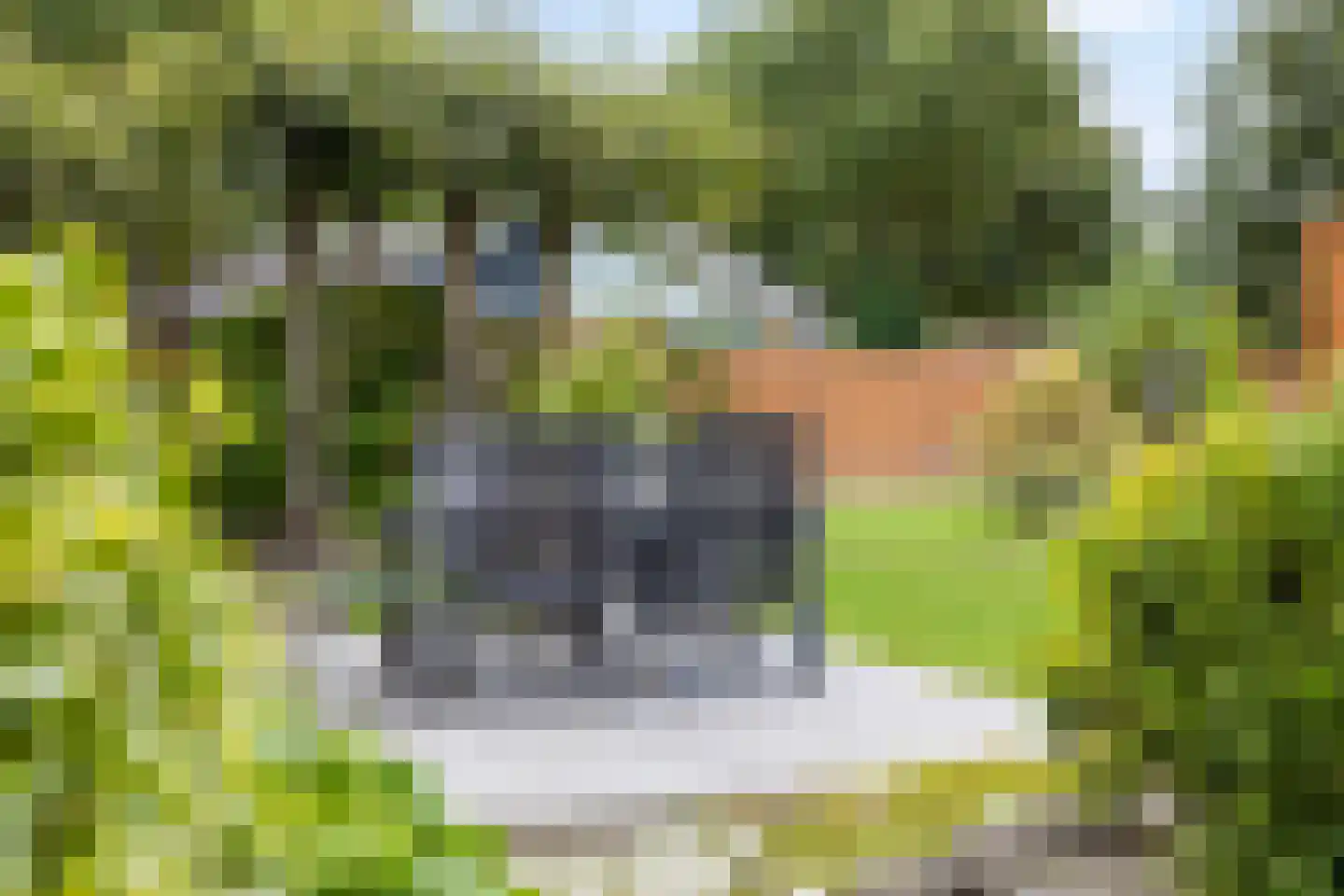 Jonkerstee 21 Ouddorp thumbnail 25