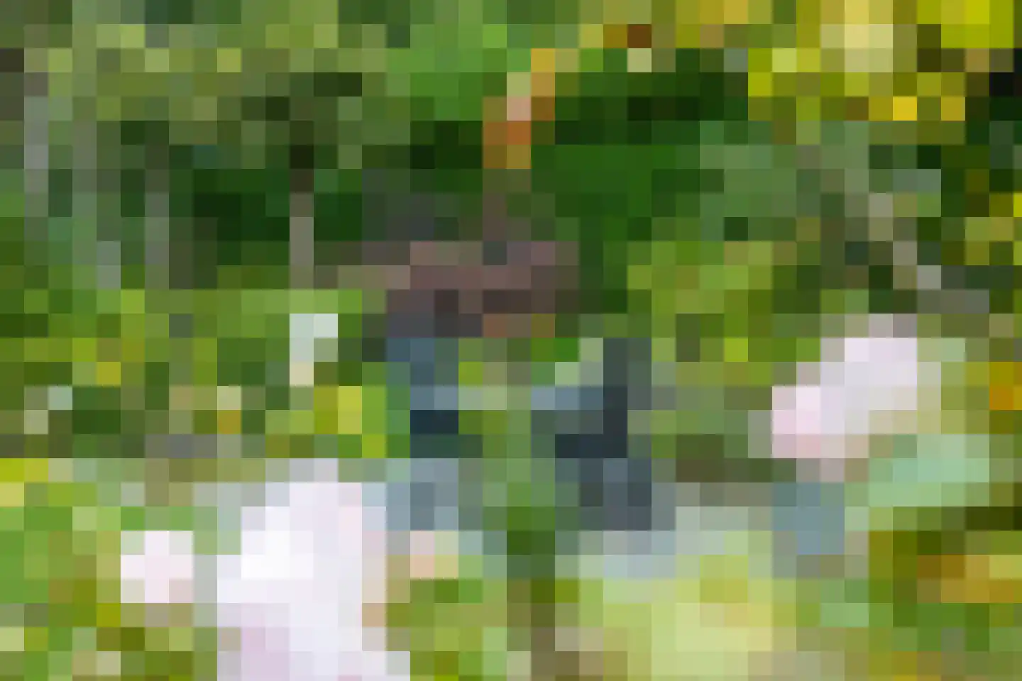 Jonkerstee 21 Ouddorp thumbnail 26