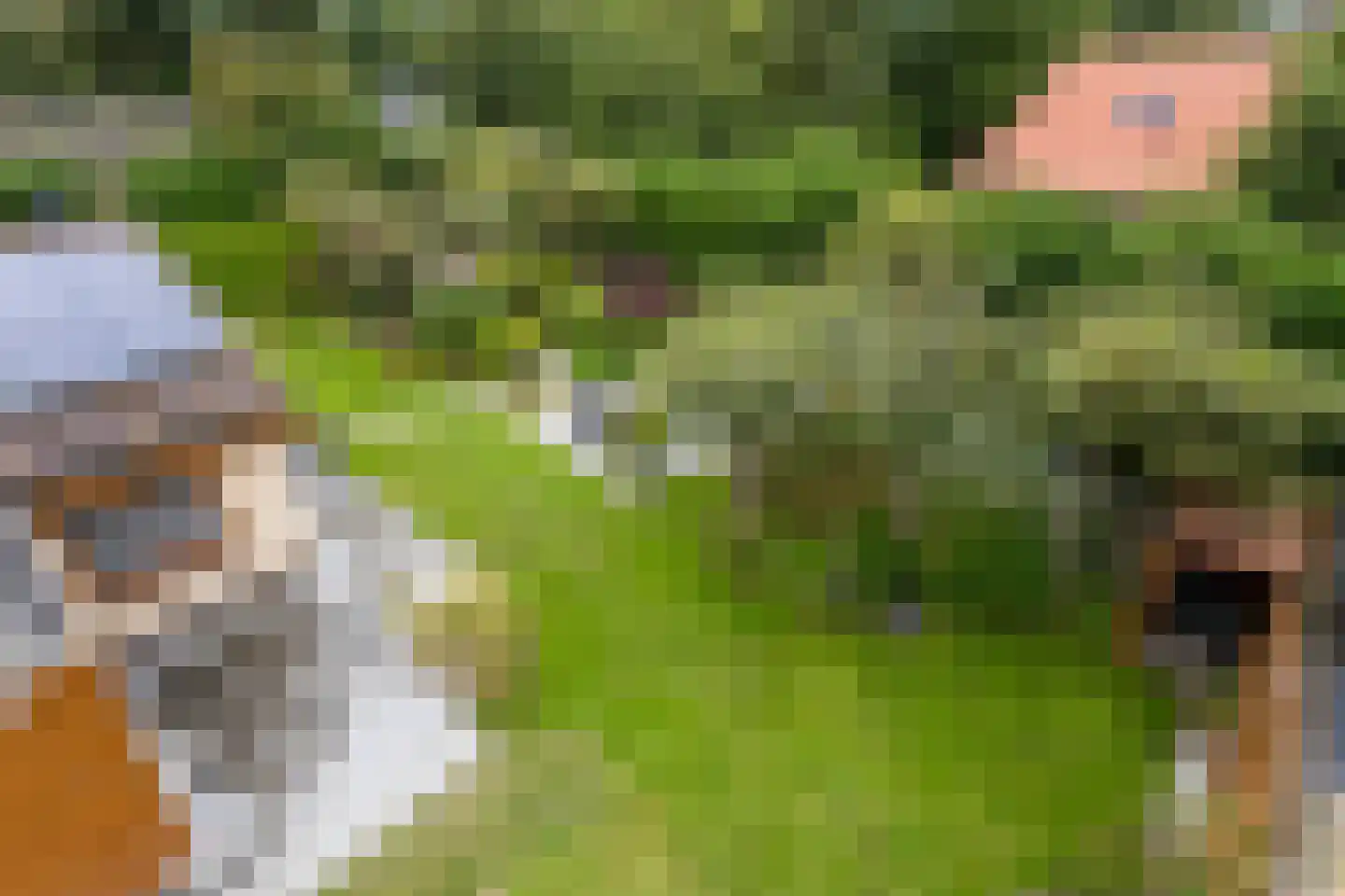 Jonkerstee 21 Ouddorp thumbnail 28
