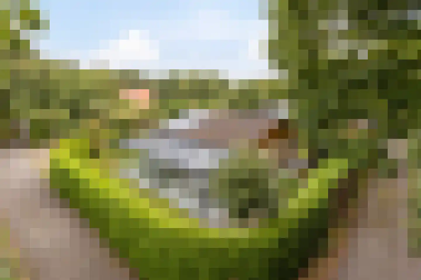 Jonkerstee 21 Ouddorp thumbnail 29
