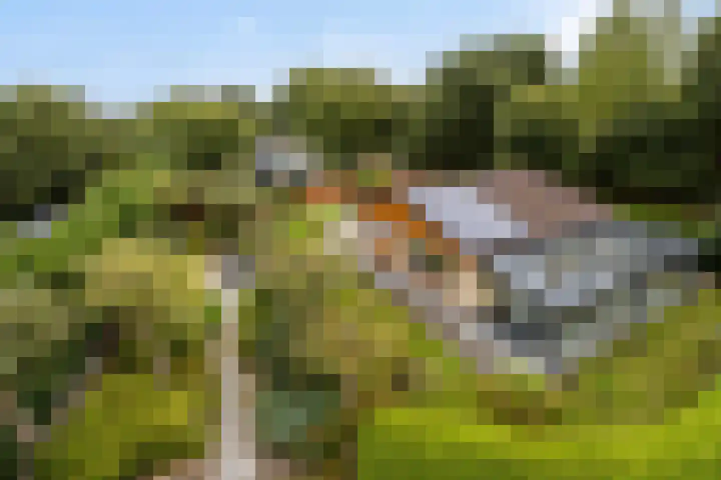 Jonkerstee 21 Ouddorp thumbnail 30