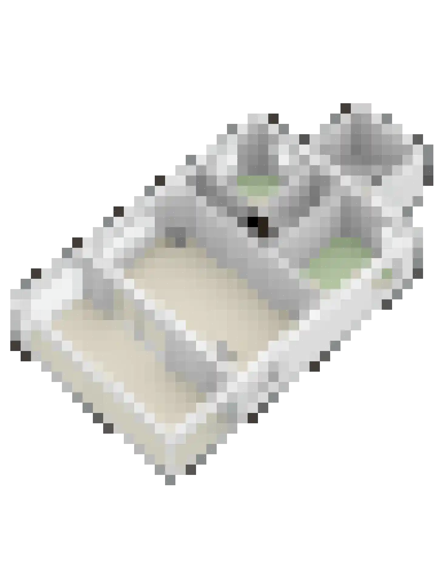 Jonkerstee 21 Ouddorp thumbnail 37