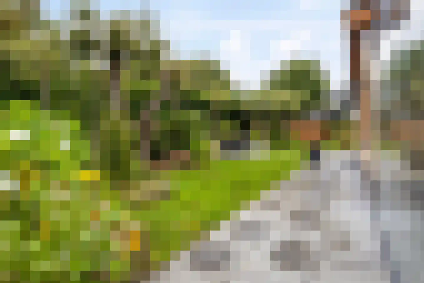 Jonkerstee 21 Ouddorp thumbnail 5