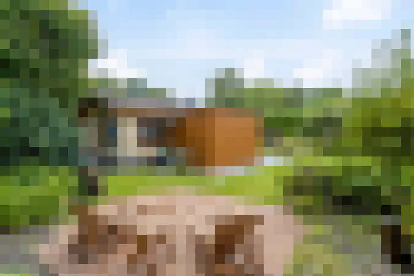 Jonkerstee 21 Ouddorp thumbnail 7