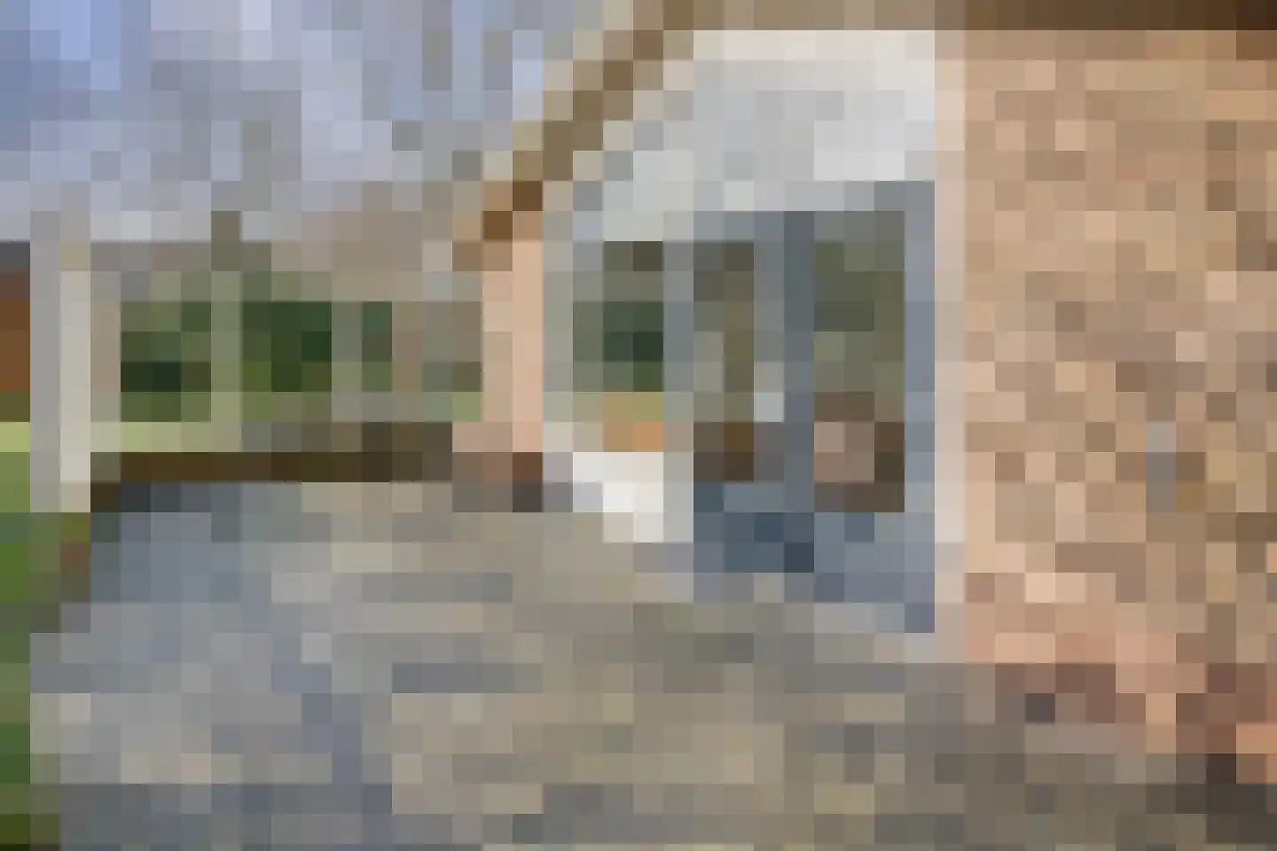 Jonkerstee 45 Ouddorp thumbnail 15