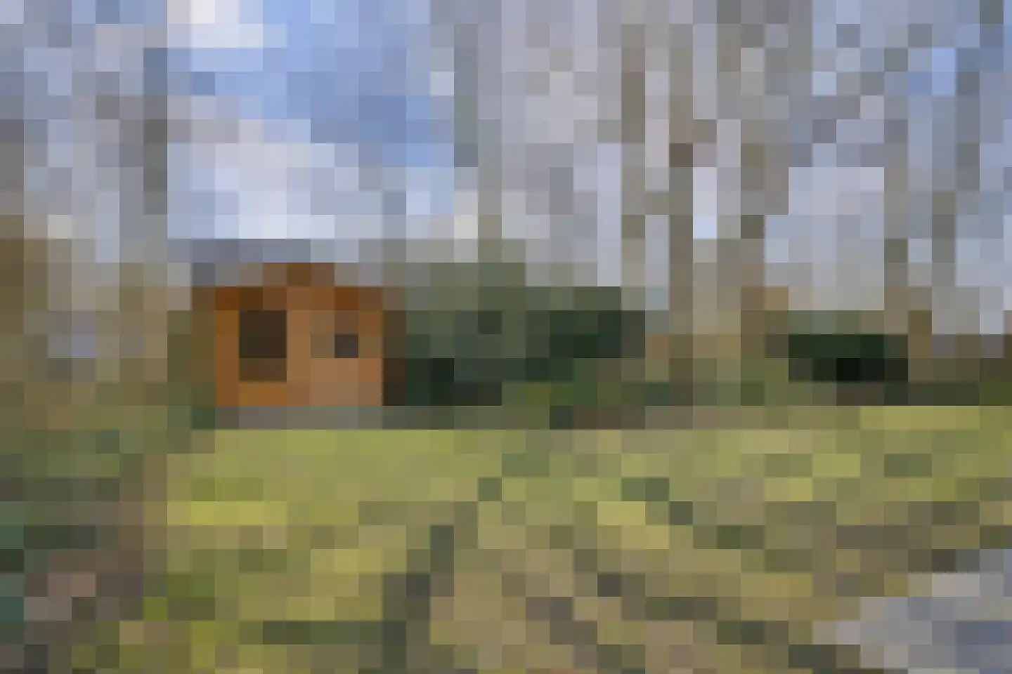 Jonkerstee 45 Ouddorp thumbnail 17