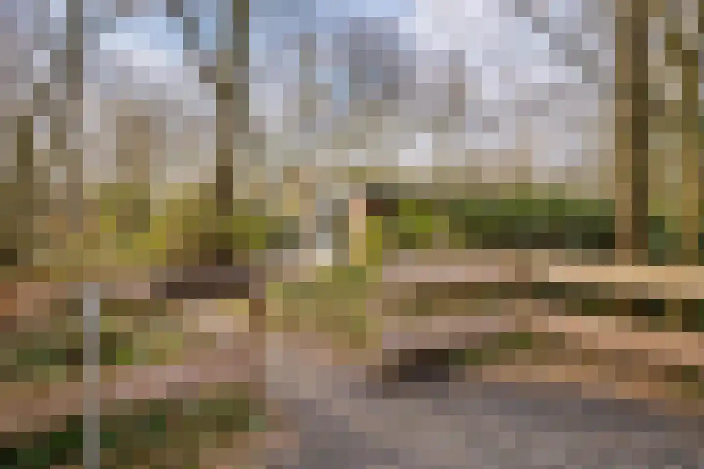 Jonkerstee 45 Ouddorp thumbnail 18
