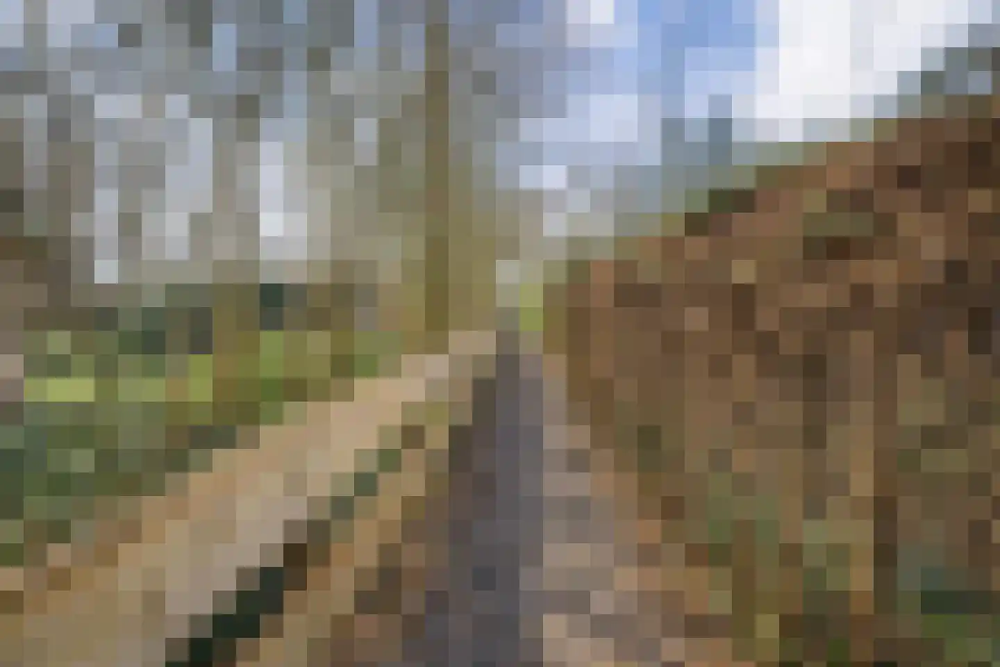 Jonkerstee 45 Ouddorp thumbnail 19