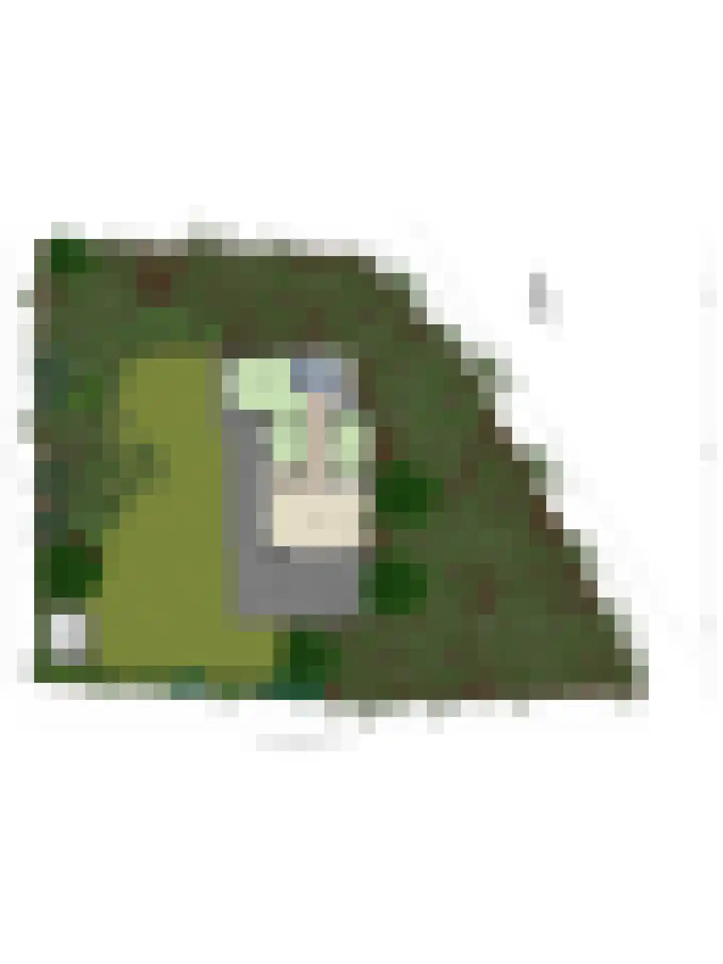 Jonkerstee 45 Ouddorp thumbnail 22