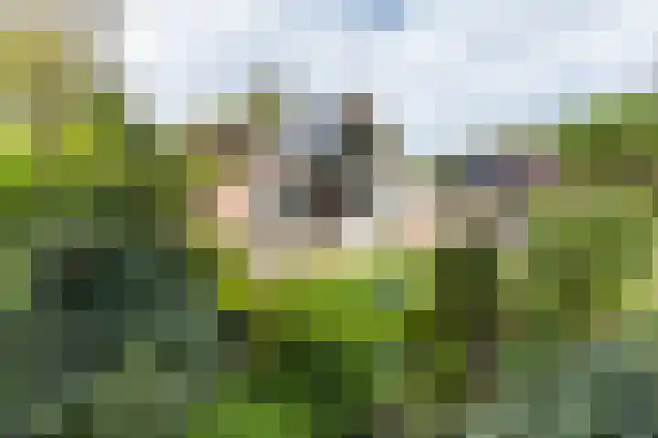 Jonkerstee 84 Ouddorp