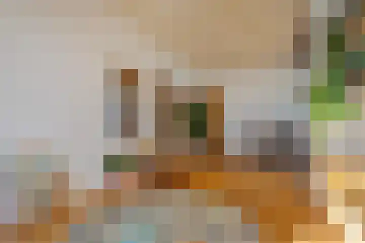 Jonkerstraat 85 Weurt thumbnail 7