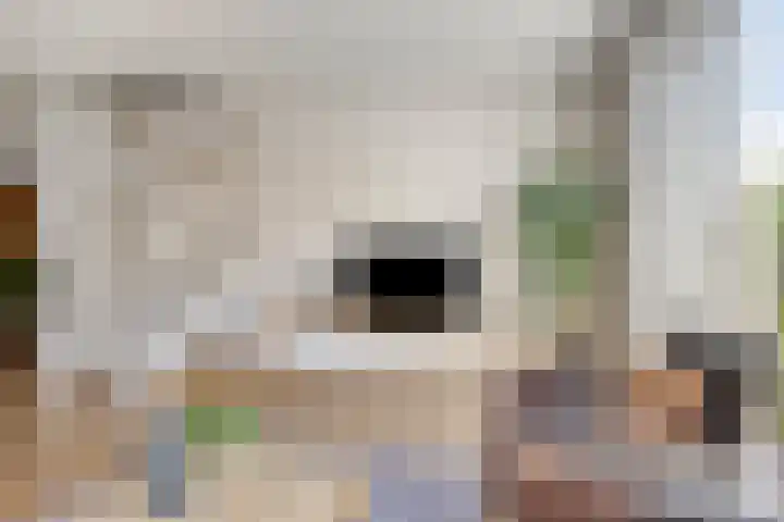 Jonkersveld 6 Nieuw-Roden thumbnail 11