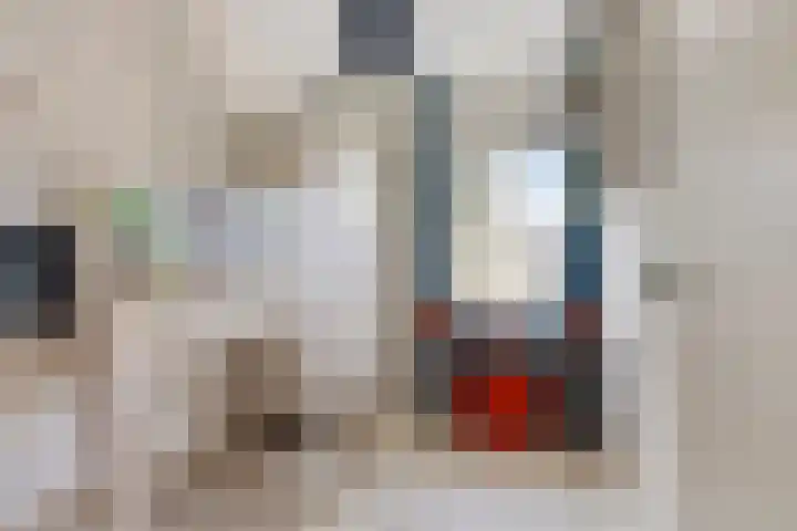Jonkersveld 6 Nieuw-Roden thumbnail 26