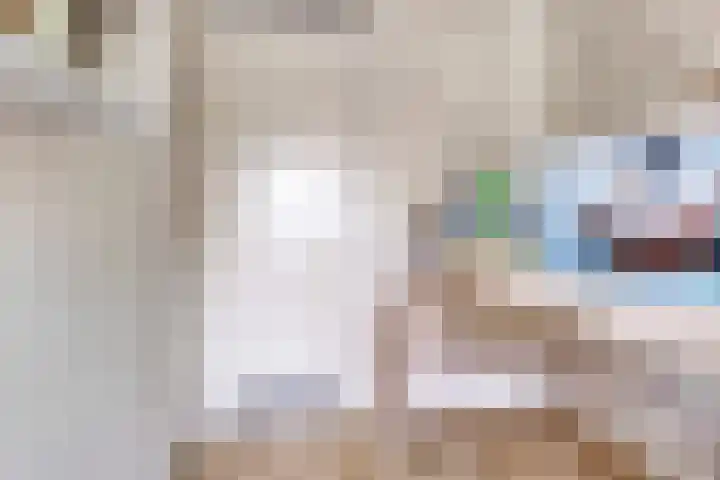 Jonkersveld 6 Nieuw-Roden thumbnail 27