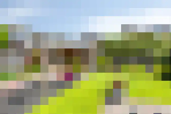 Jonkersveld 6 Nieuw-Roden thumbnail 35