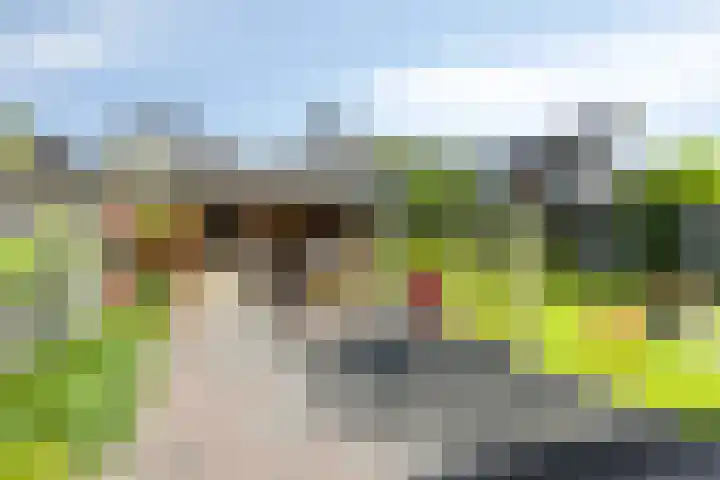 Jonkersveld 6 Nieuw-Roden thumbnail 36