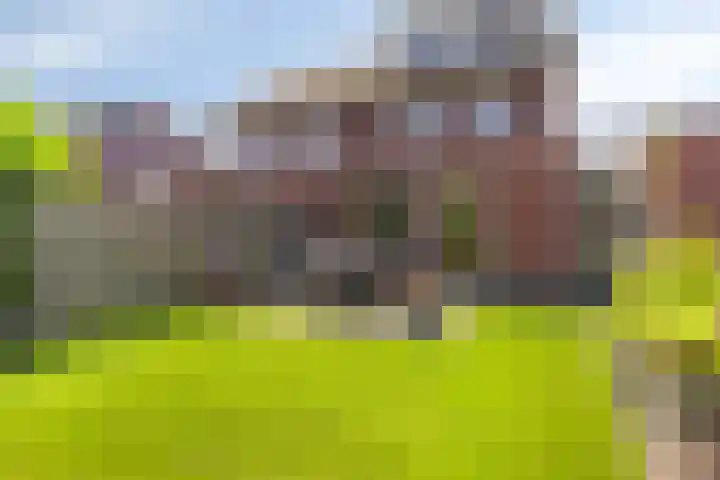 Jonkersveld 6 Nieuw-Roden thumbnail 37