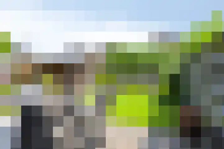 Jonkersveld 6 Nieuw-Roden thumbnail 38