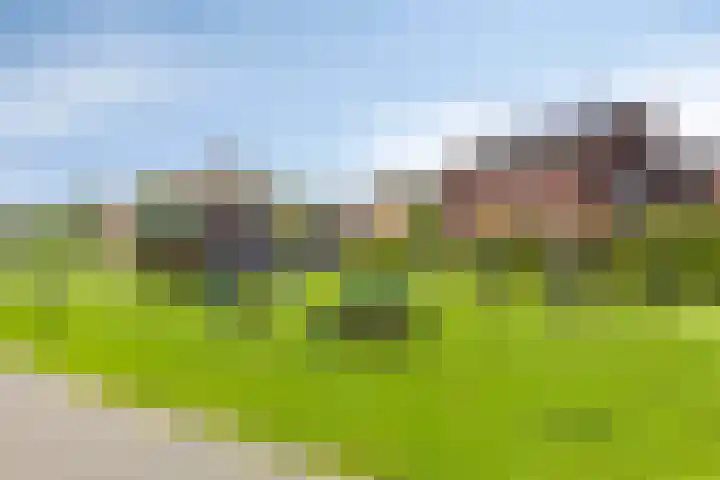 Jonkersveld 6 Nieuw-Roden thumbnail 40