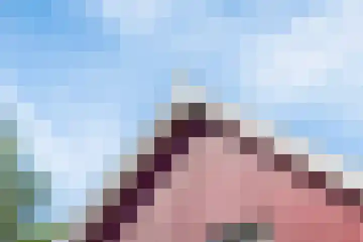 Jonkersweg 53 Winterswijk Meddo thumbnail 11