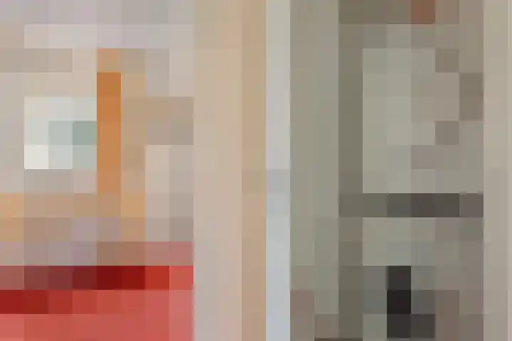 Jonkersweg 53 Winterswijk Meddo thumbnail 25