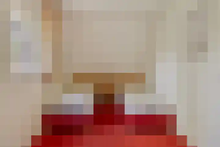 Jonkersweg 53 Winterswijk Meddo thumbnail 26