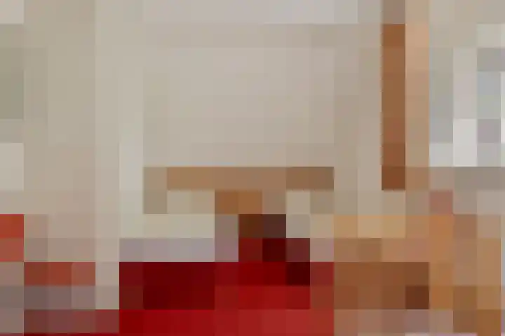 Jonkersweg 53 Winterswijk Meddo thumbnail 28