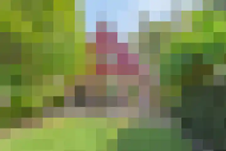 Jonkersweg 53 Winterswijk Meddo thumbnail 35