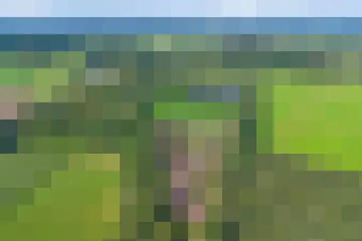 Jonkersweg 53 Winterswijk Meddo thumbnail 37