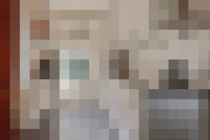 Jonkersweg 53 Winterswijk Meddo thumbnail 4