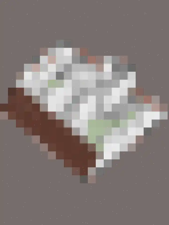 Jonkersweg 53 Winterswijk Meddo thumbnail 42