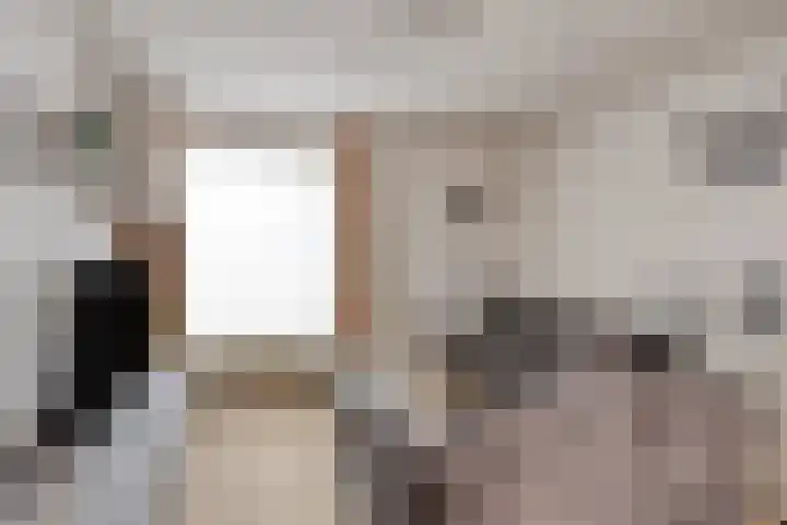 Jonkerveld 170 Uden thumbnail 12