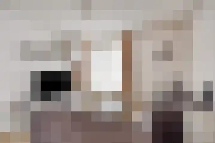 Jonkerveld 170 Uden thumbnail 13