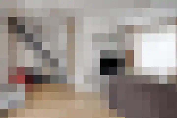 Jonkerveld 170 Uden thumbnail 14