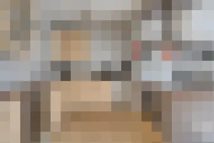 Jonkerveld 170 Uden thumbnail 19
