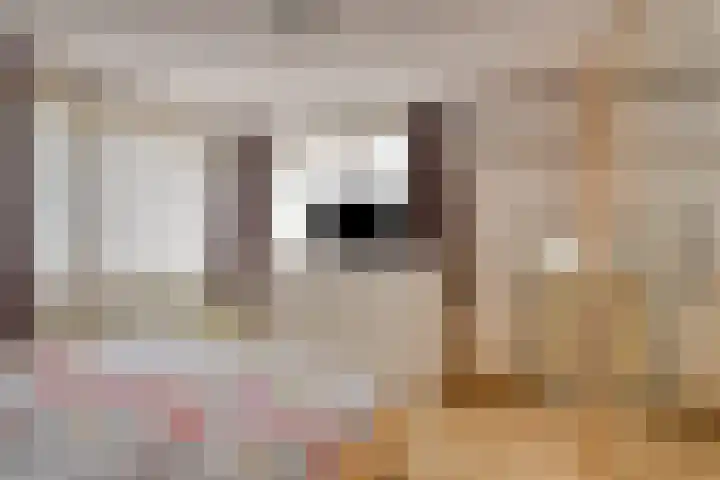 Jonkerveld 170 Uden thumbnail 28