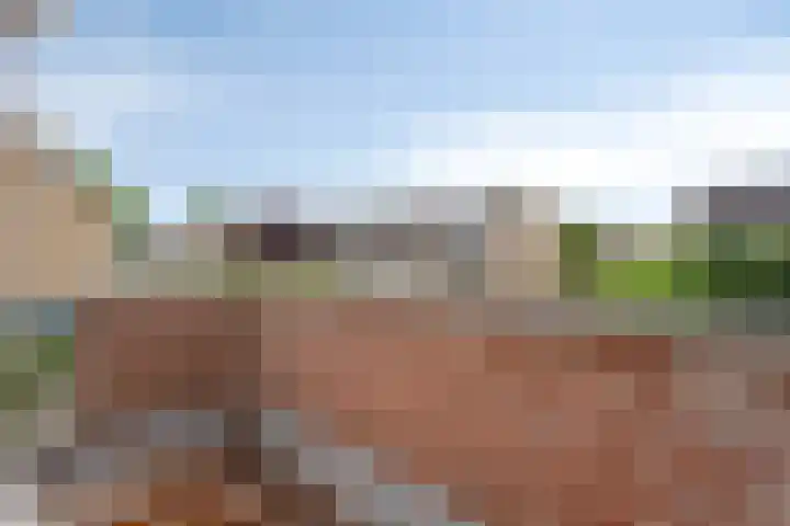 Jonkerveld 170 Uden thumbnail 34