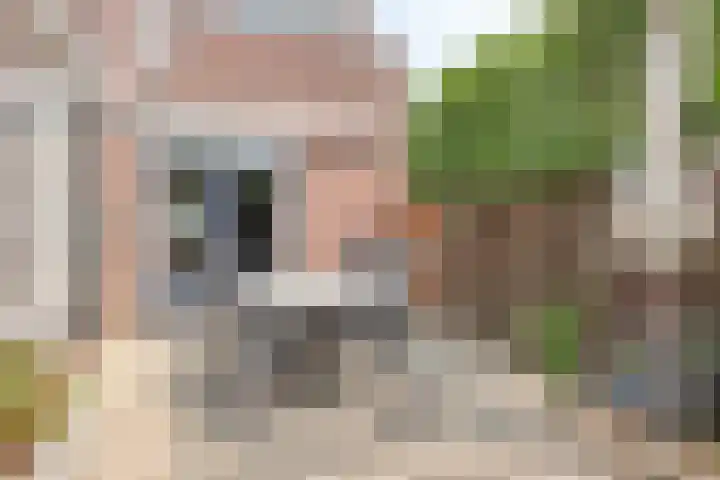 Jonkerveld 170 Uden thumbnail 36