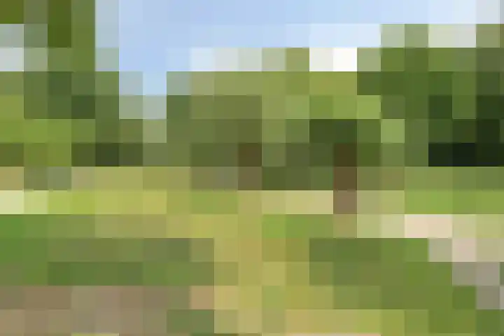 Jonkerveld 170 Uden thumbnail 38