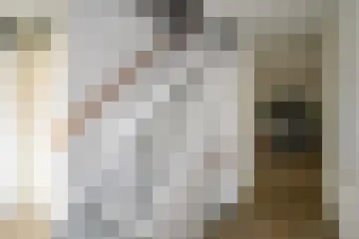 Jonkerveld 415 Uden thumbnail 10