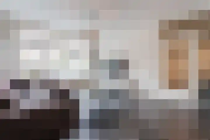 Jonkerveld 415 Uden thumbnail 14
