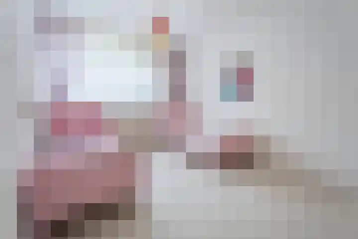 Jonkerveld 415 Uden thumbnail 26