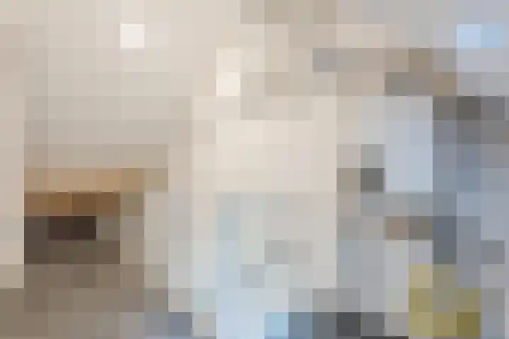 Jonkerveld 415 Uden thumbnail 32