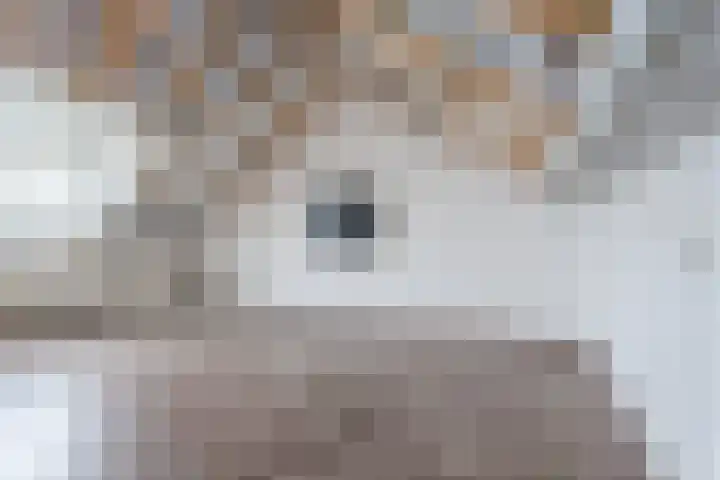 Jonkerveld 415 Uden thumbnail 34