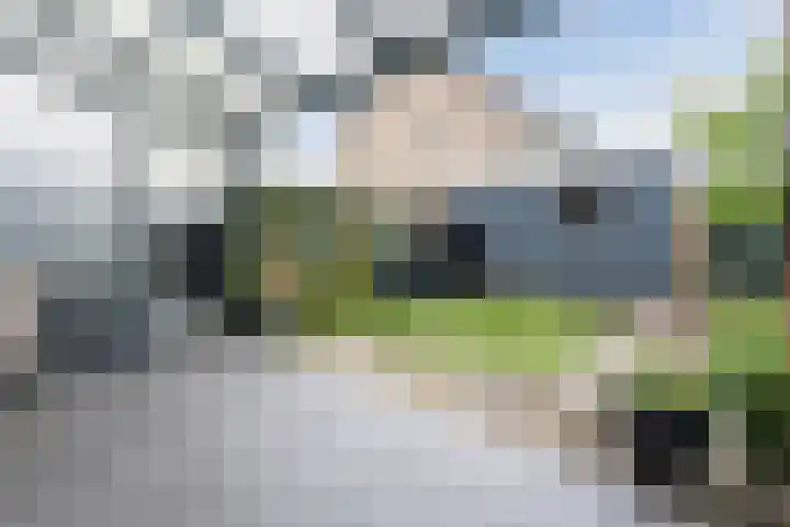 Jonkerveld 415 Uden thumbnail 36