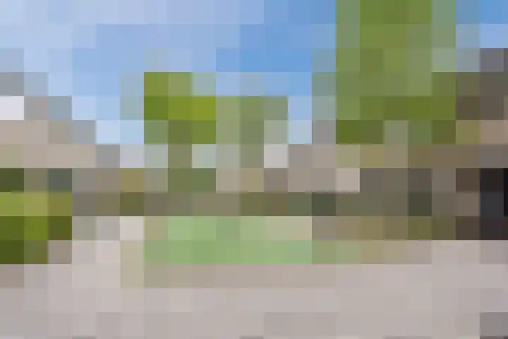 Jonkerveld 415 Uden thumbnail 4